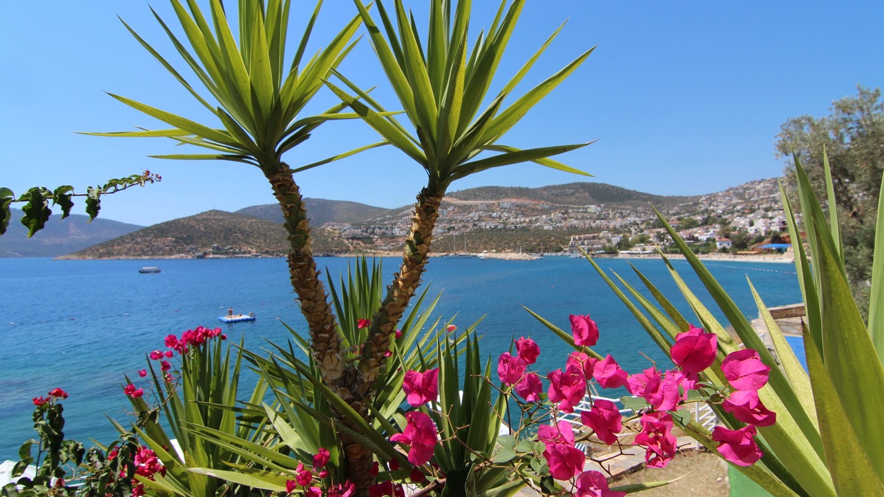 Photo of Others in Kalkan