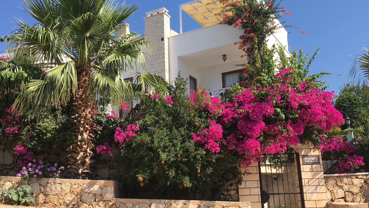 Photo of Others in Kalkan