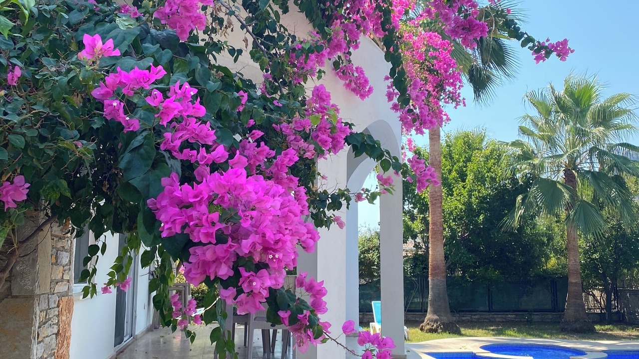 Photo of Outdoor in Dalyan