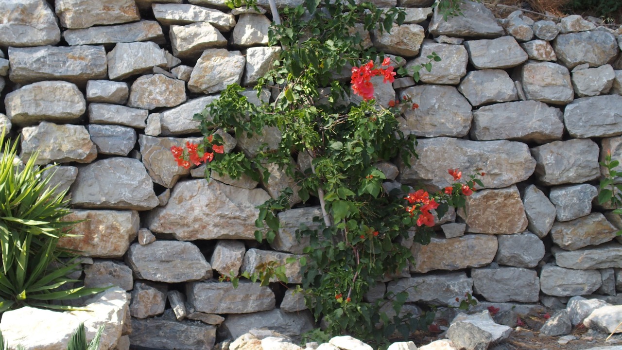 Photo of Outdoor in Mesudiye