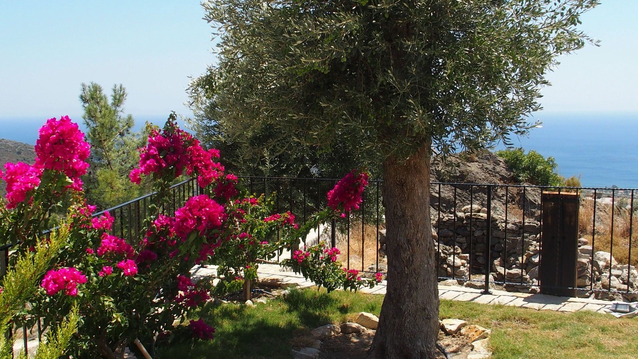 Photo of Outdoor in Mesudiye