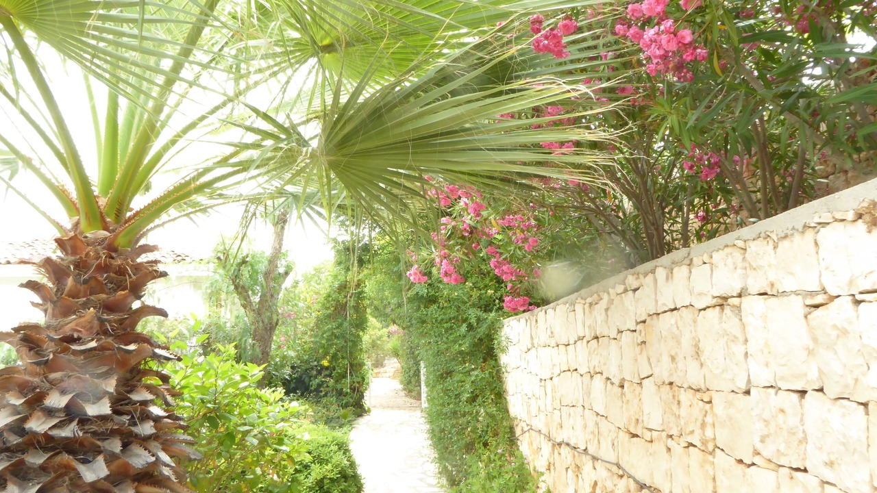Photo of Outdoor in Kas