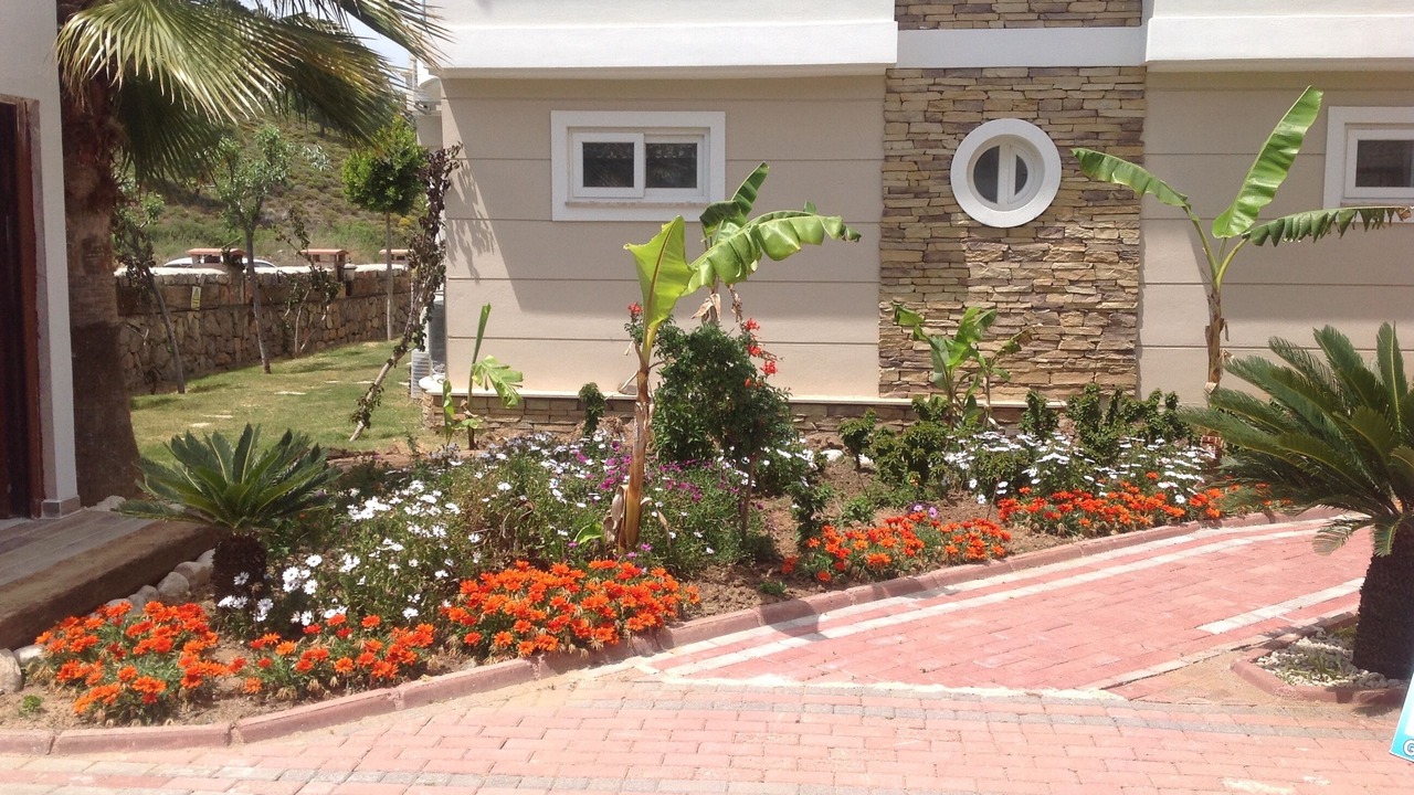 Photo of Outdoor in Fethiye City Center