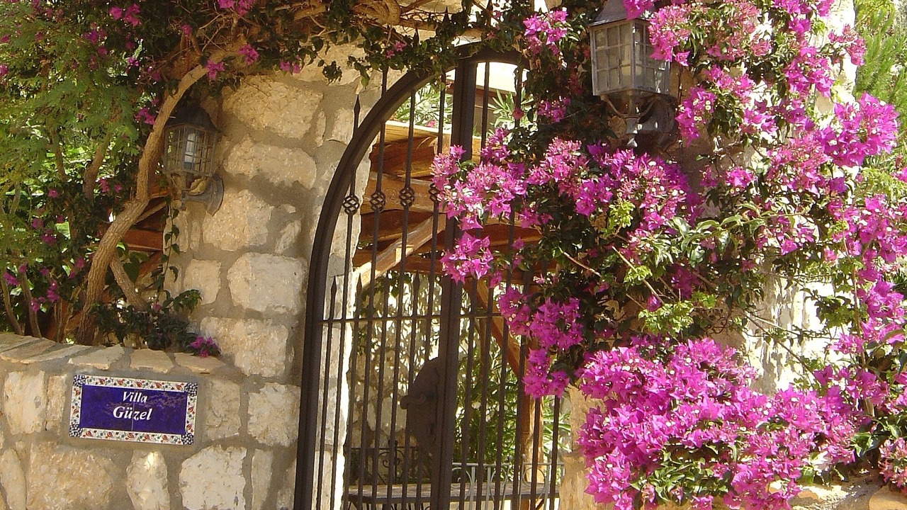 Photo of Others in Kalkan