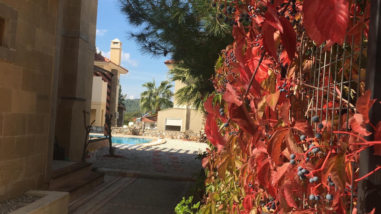 Photo of Outdoor in Oludeniz