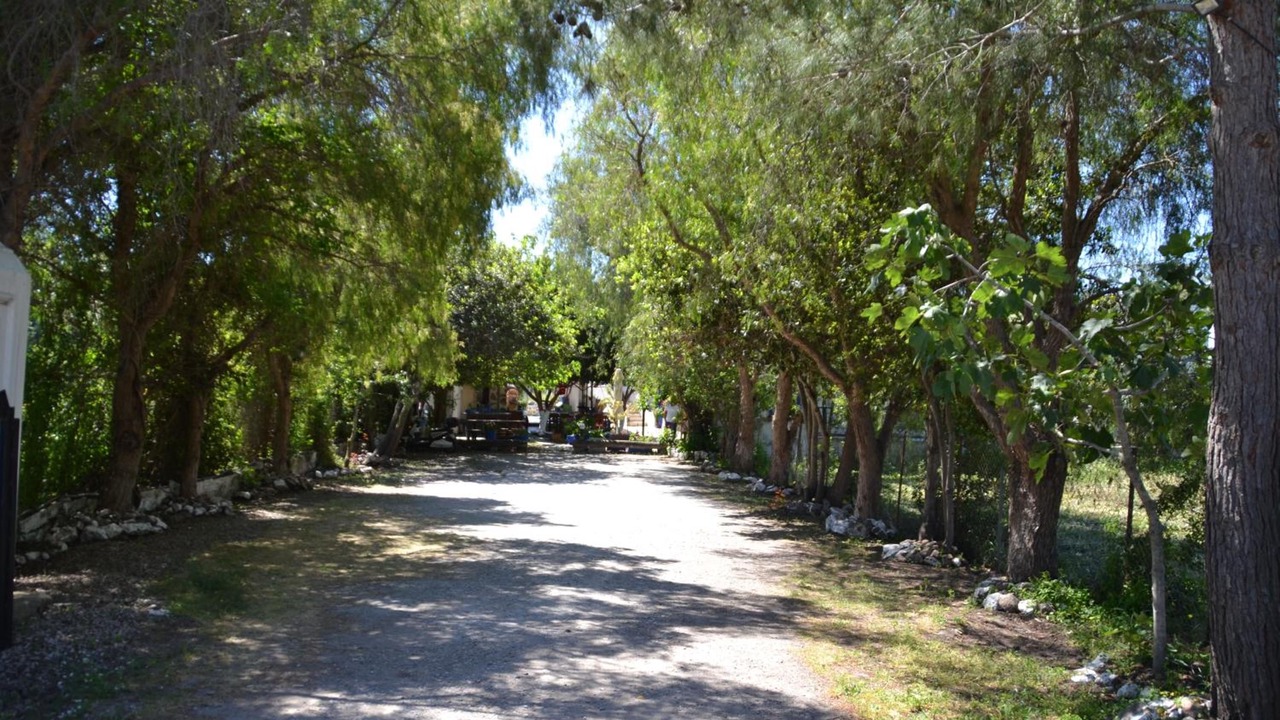 Photo of Outdoor in Gumusluk