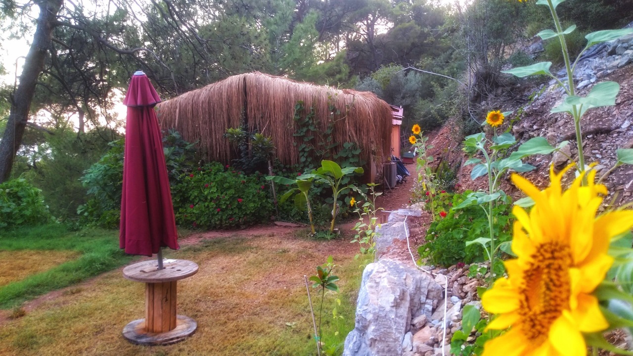 Photo of Outdoor in Ovacik