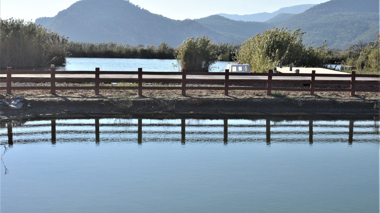 Photo of Others in Dalyan