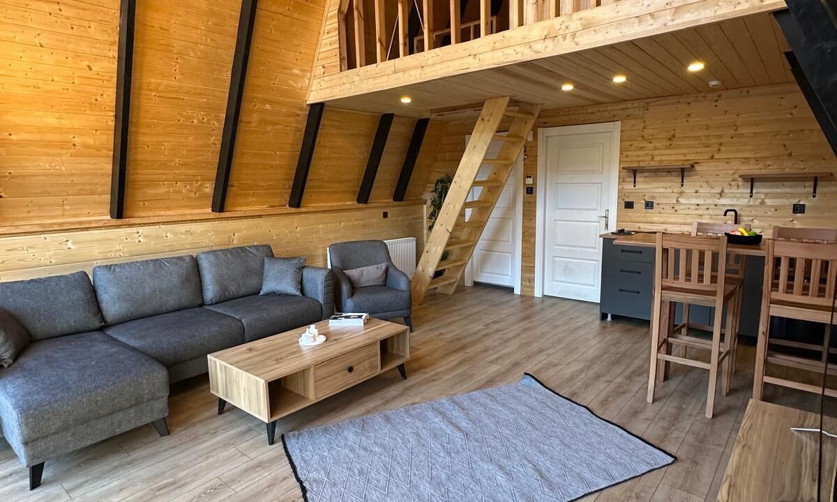 Photo of Livingroom in Sapanca