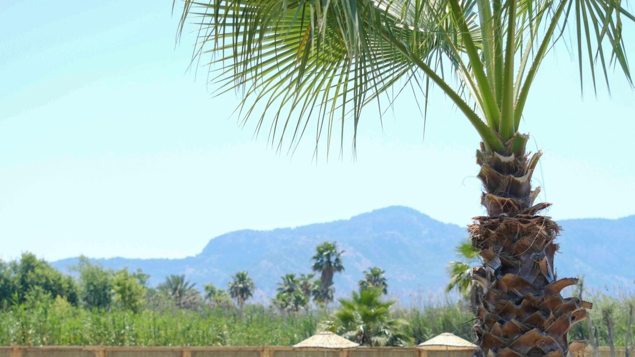Photo of Outdoor in Dalyan