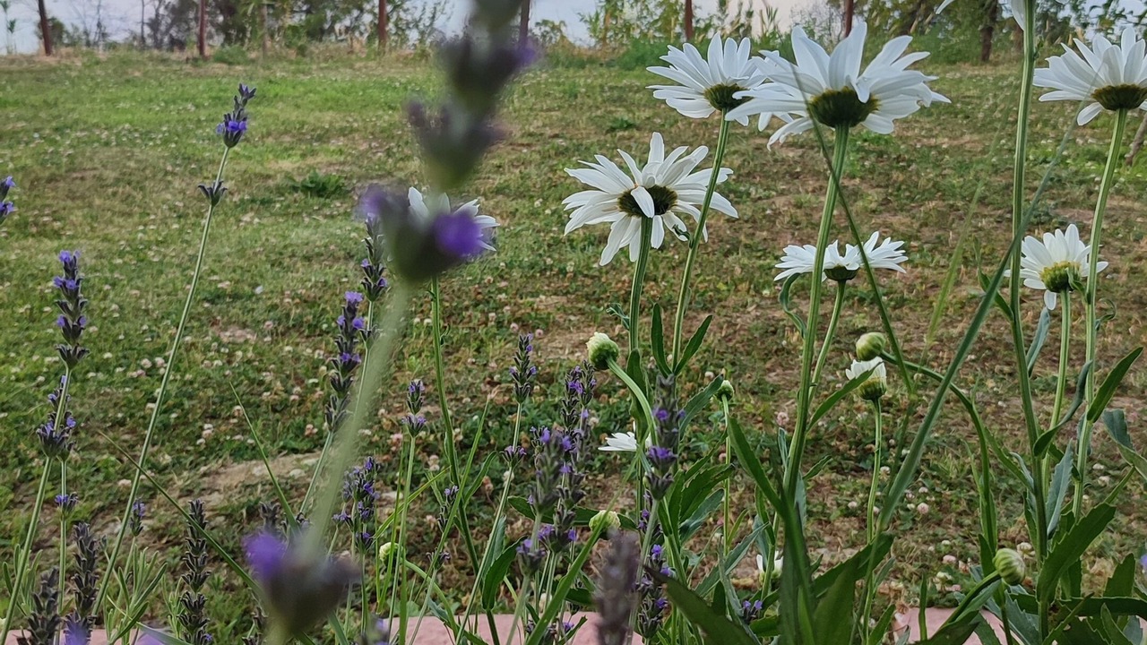 Photo of Outdoor in Gerze