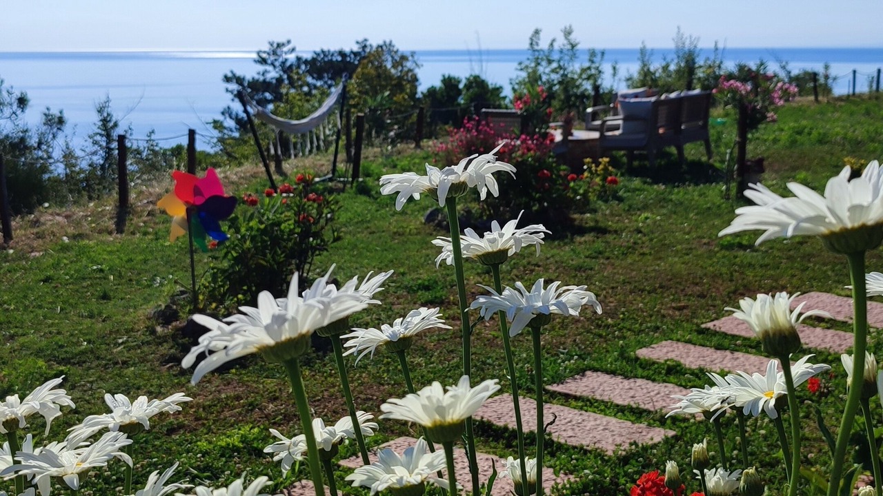 Photo of Outdoor in Gerze