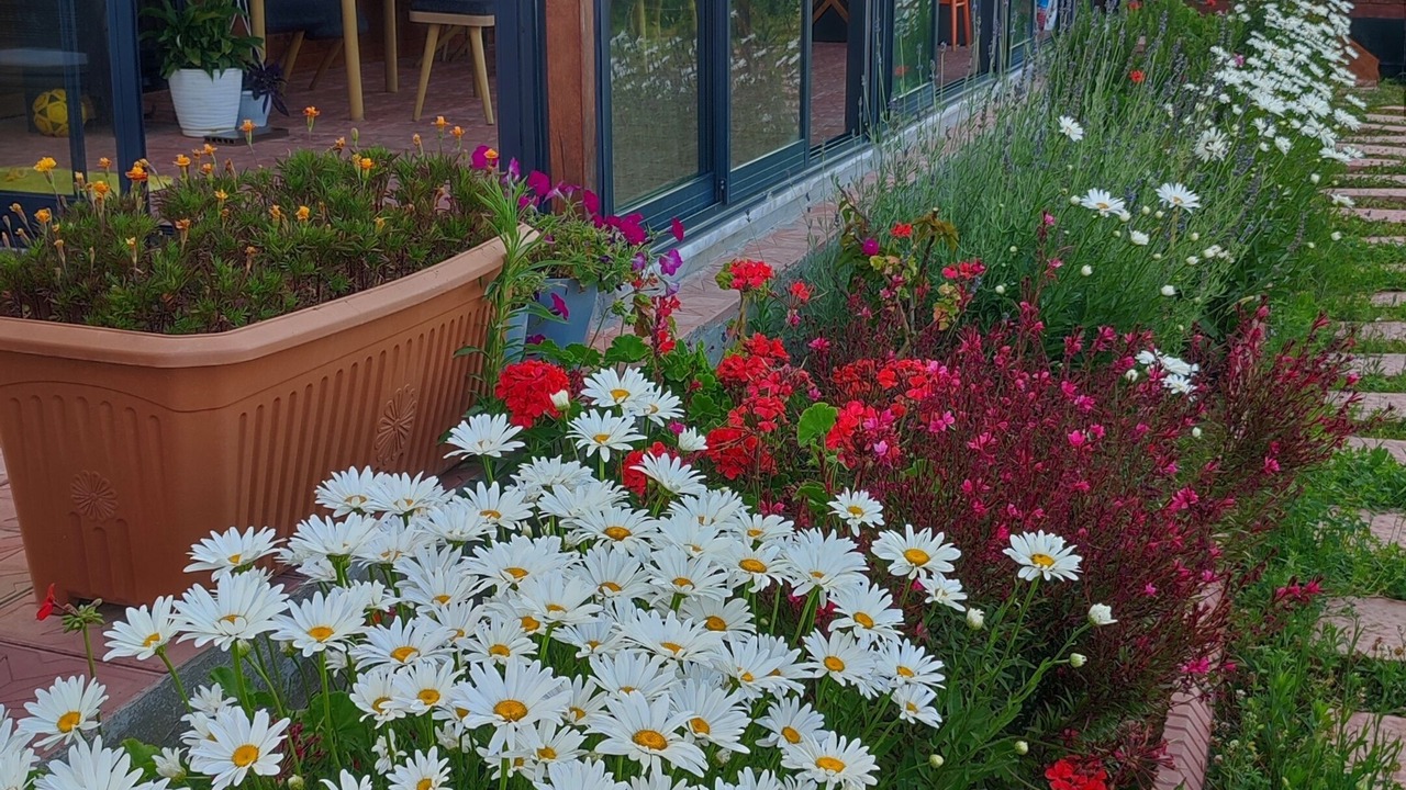 Photo of Outdoor in Gerze