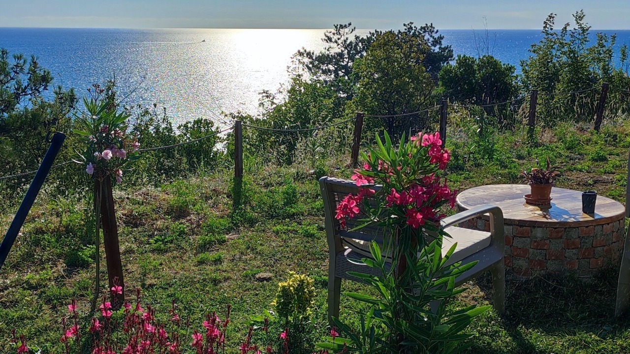 Photo of Patio Balcony in Gerze