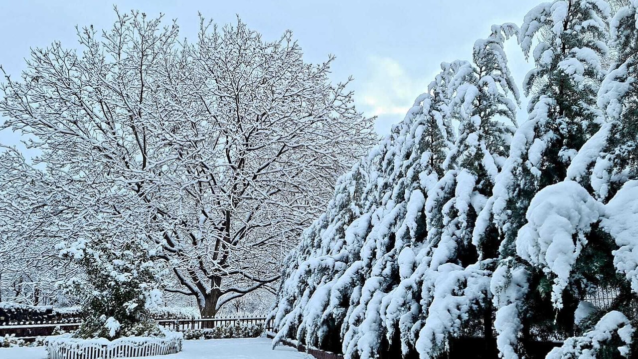 Photo of Outdoor in Nar