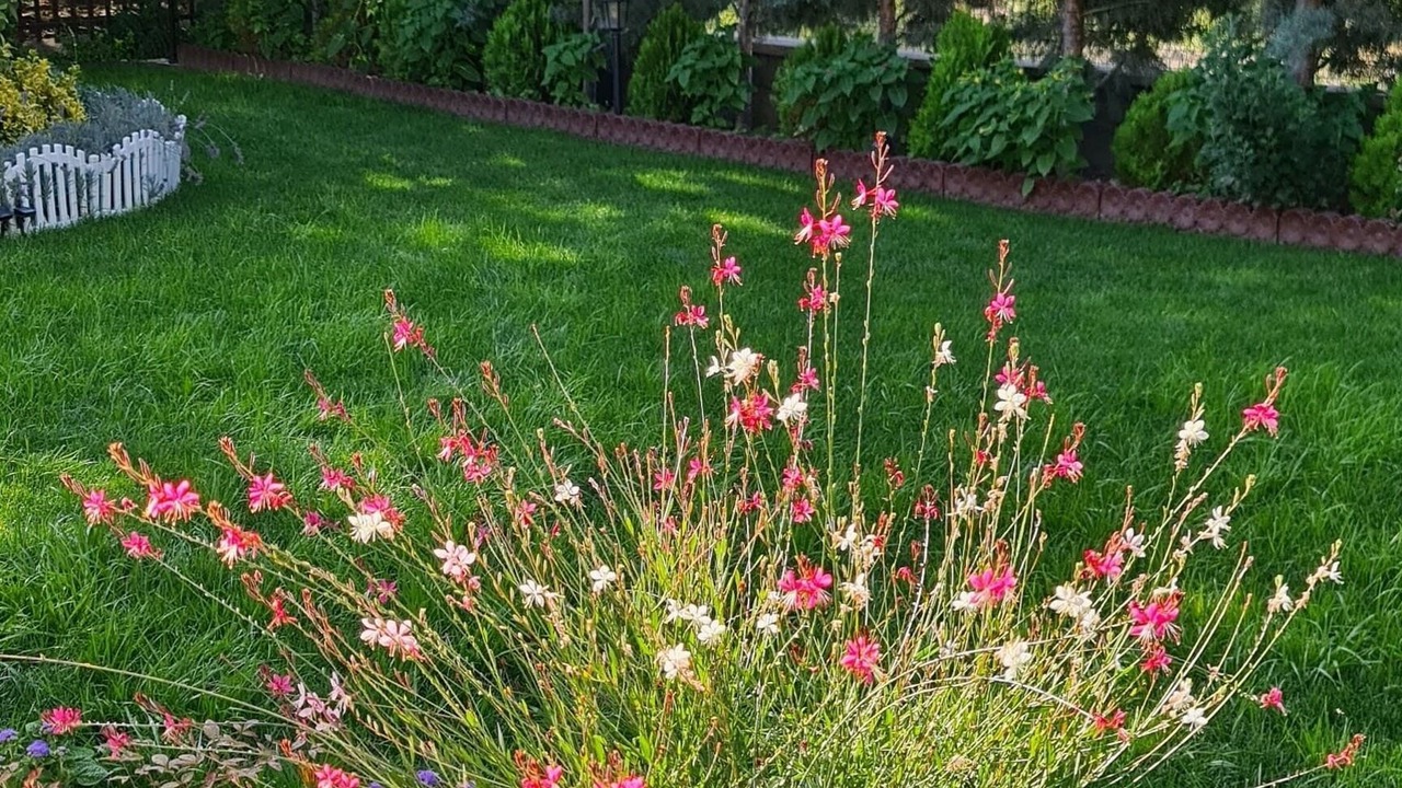 Photo of Outdoor in Nar