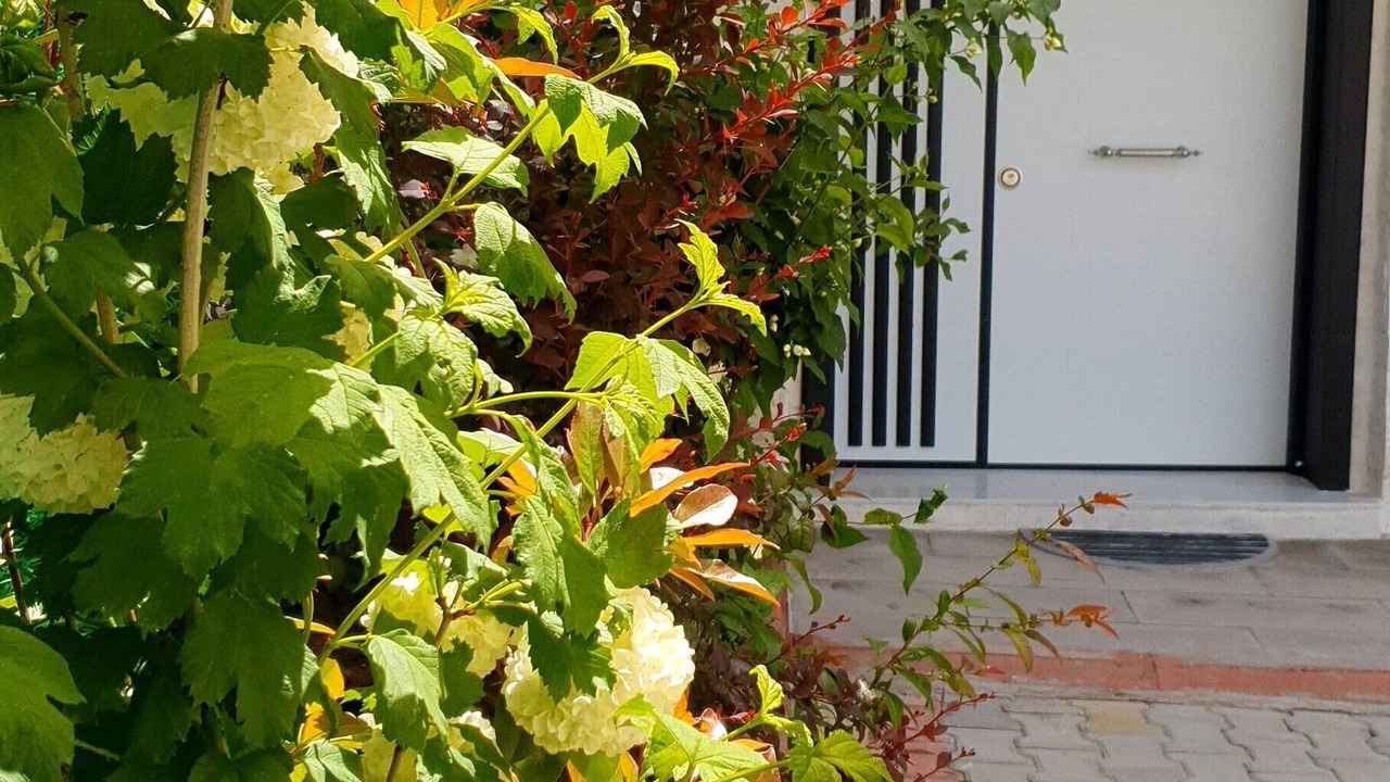 Photo of Outdoor in Nar