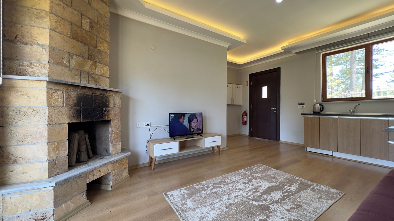 Photo of Livingroom in Unye