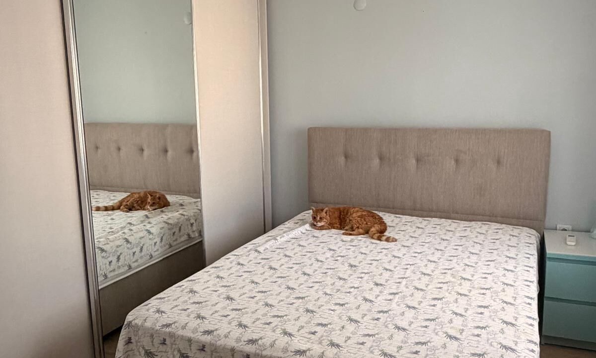 Photo of Bedroom in Bogazici