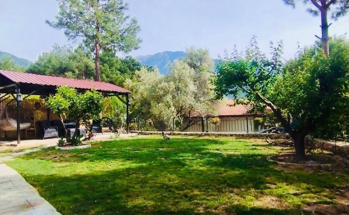 Photo of Outdoor in Oludeniz