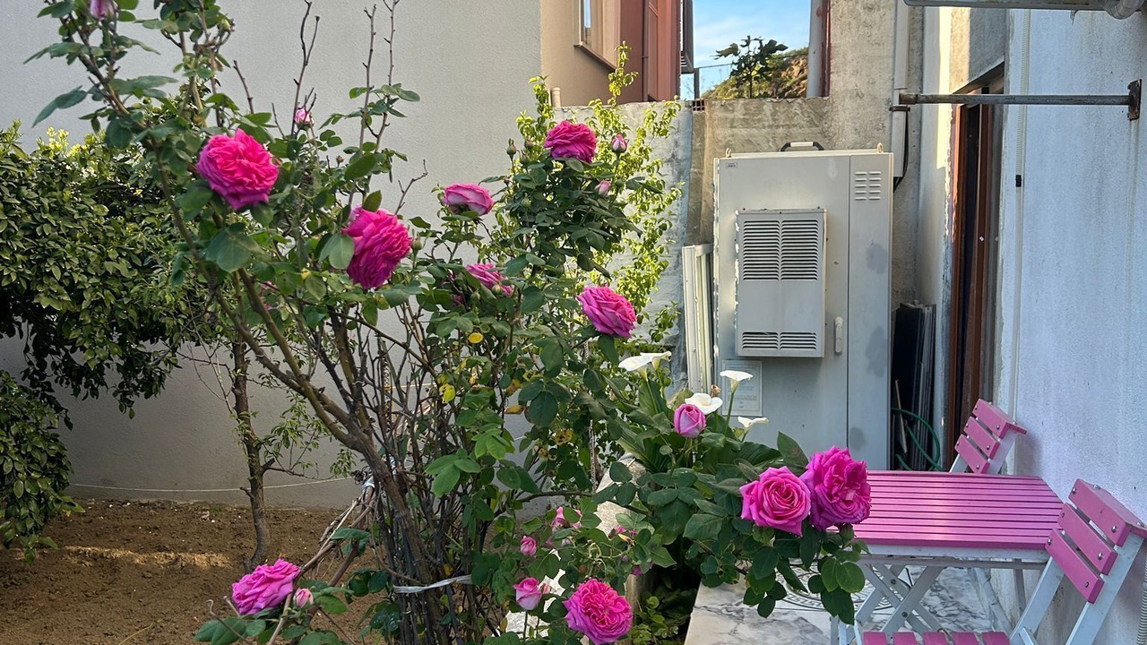 Photo of Outdoor in Ormanlı Koyu