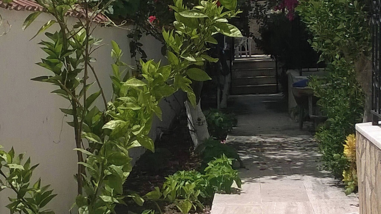 Photo of Outdoor in Ortaca