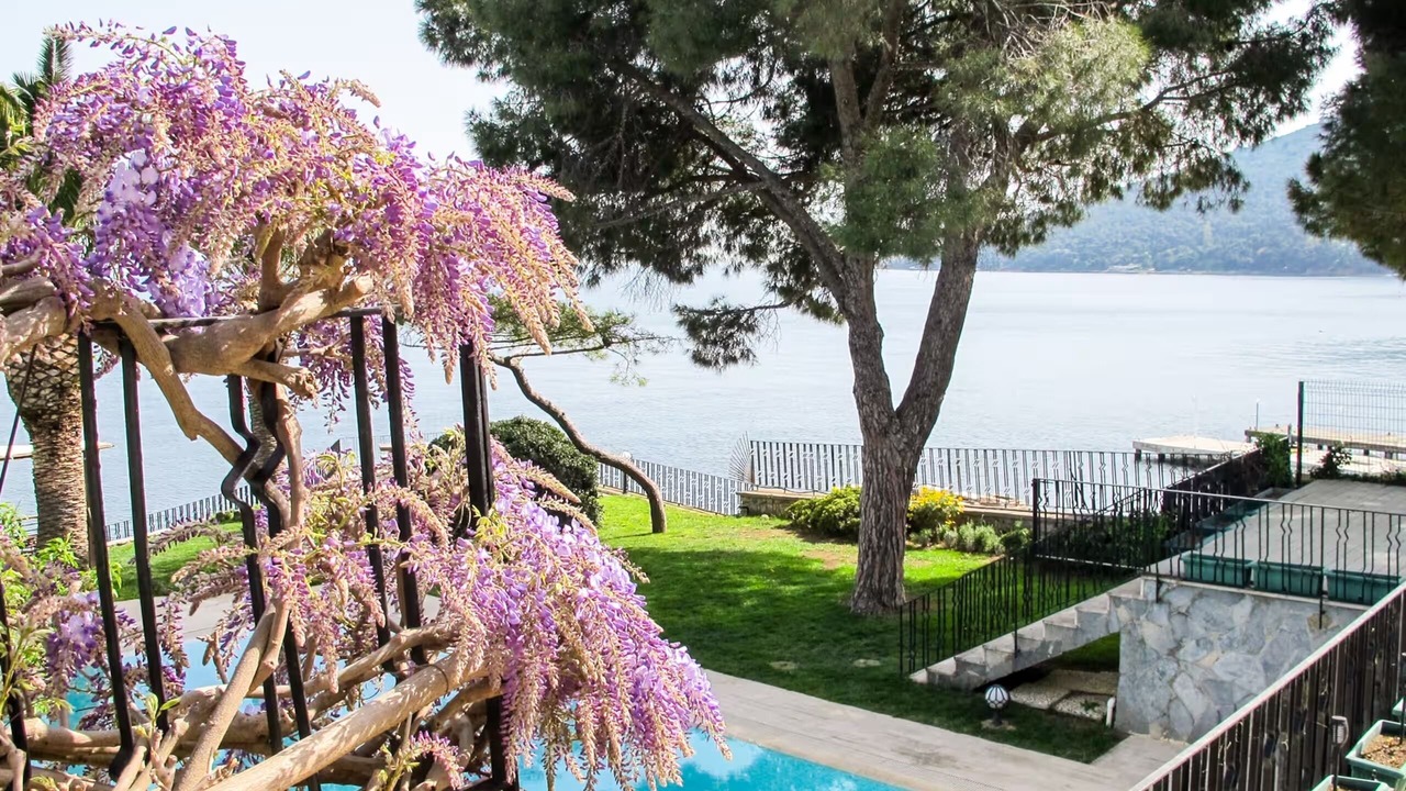 Photo of Outdoor in Adalar