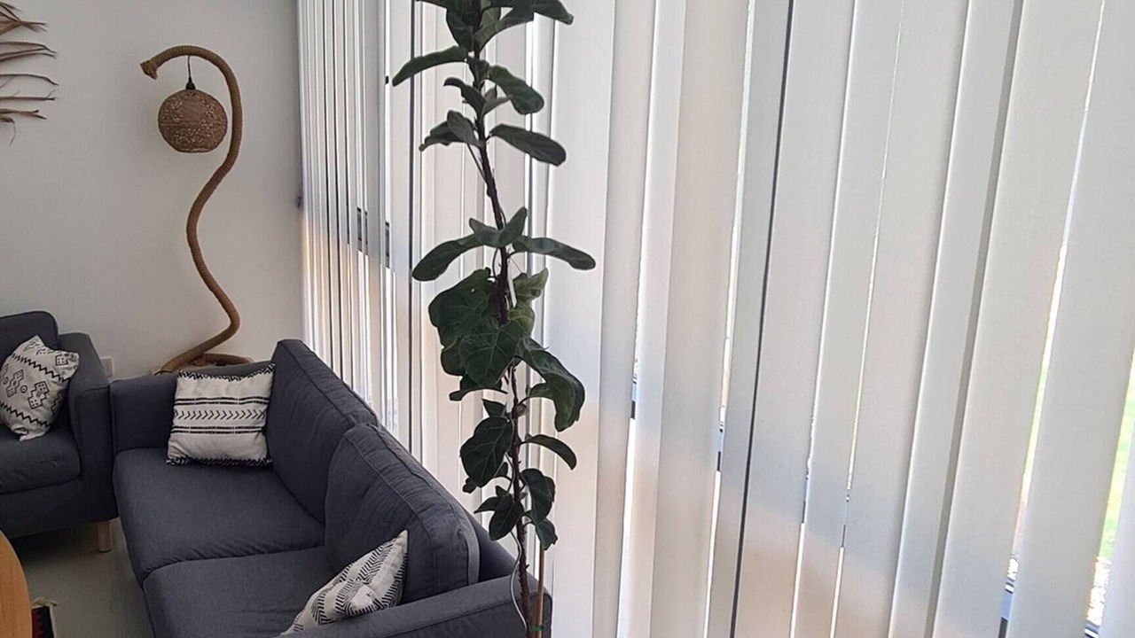 Photo of Livingroom in Koycegiz