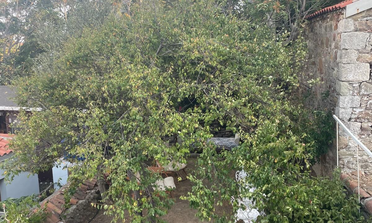 Photo of Patio Balcony in Bozcaada