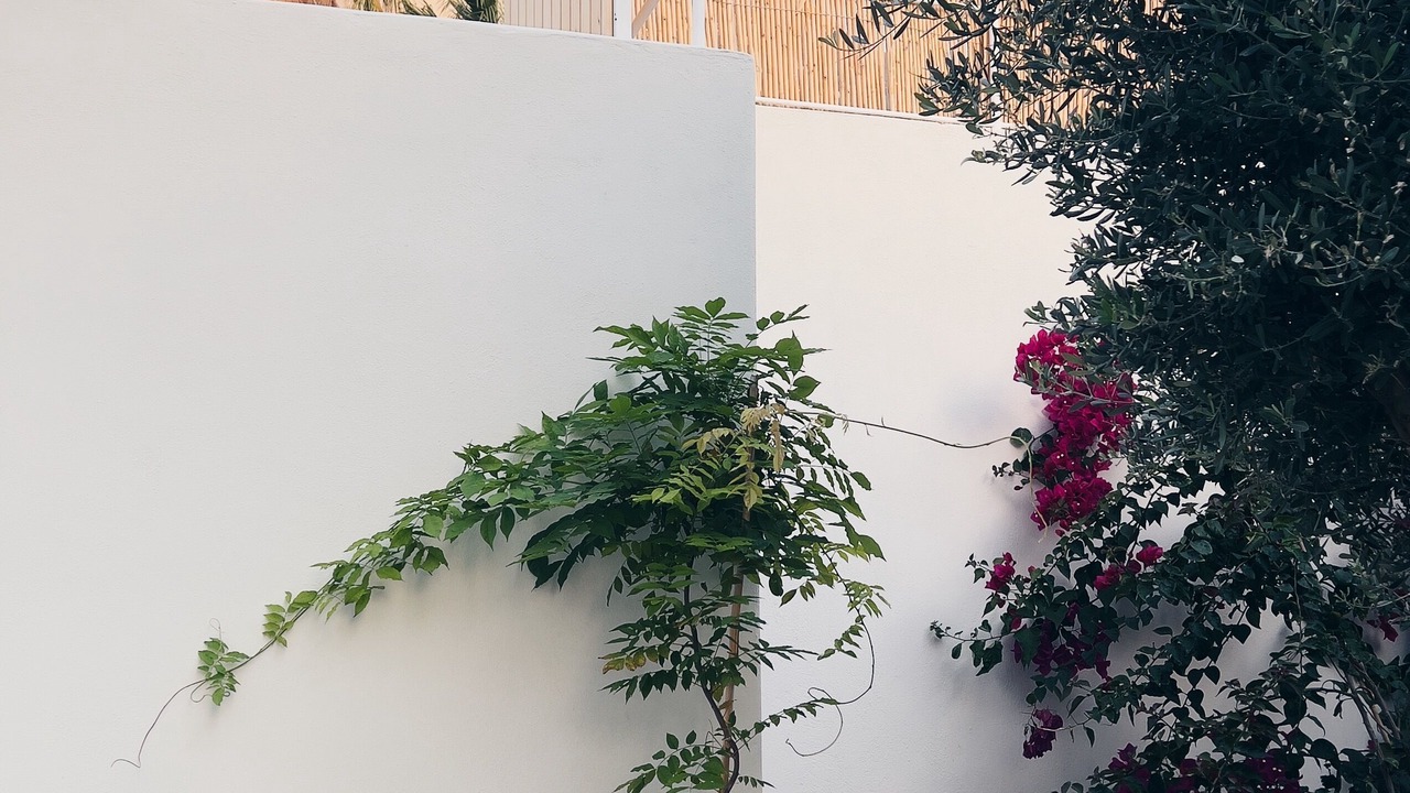 Photo of Outdoor in Fethiye