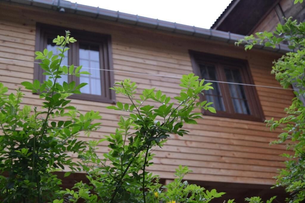 Photo of Outdoor in Ayder Yaylasi