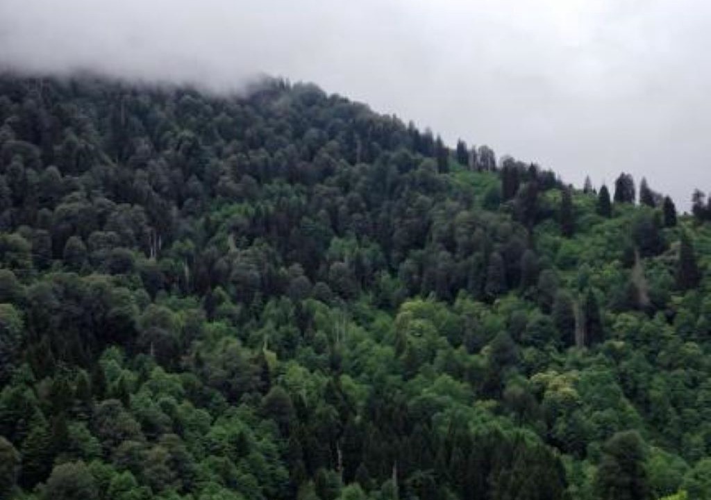 Photo of Others in Ayder Yaylasi