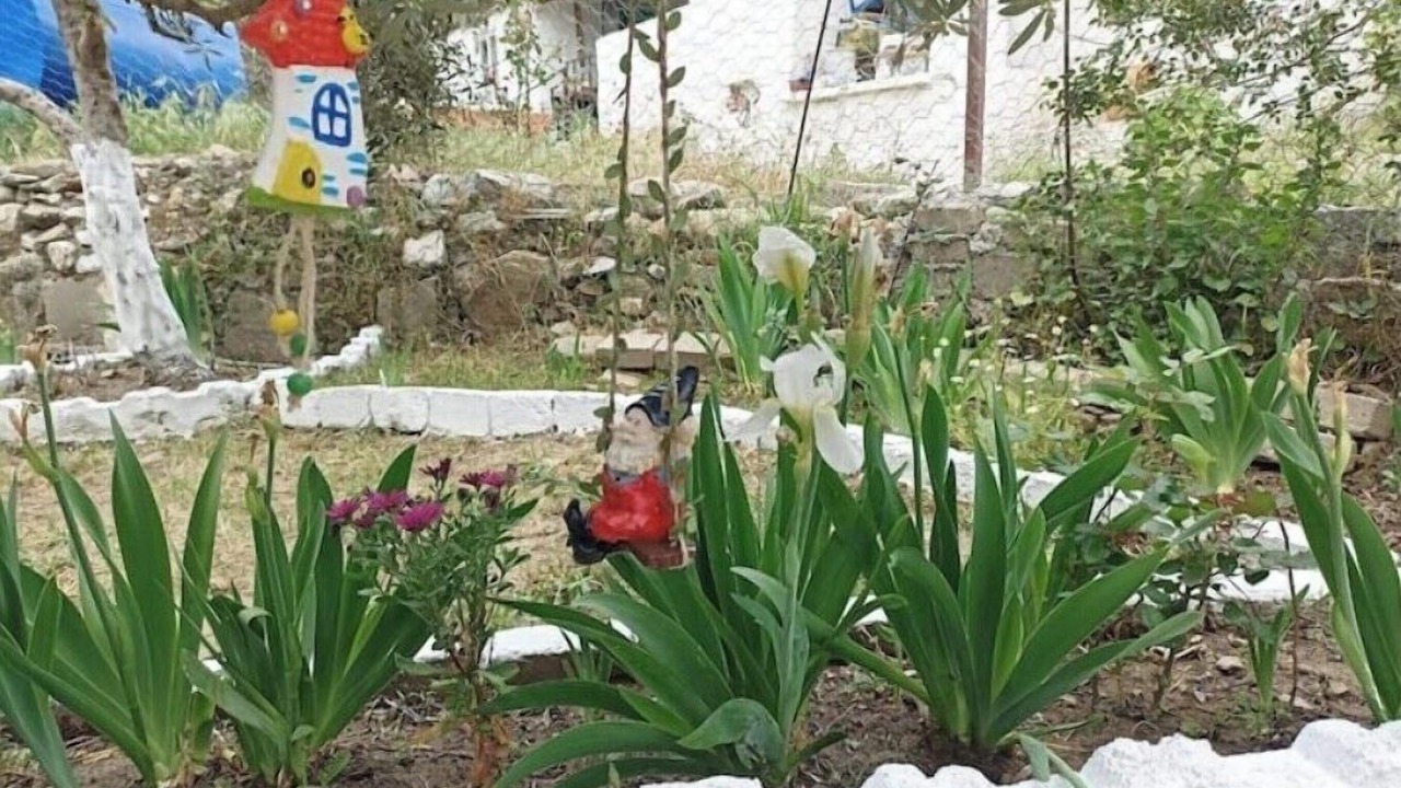 Photo of Outdoor in Gullubahce