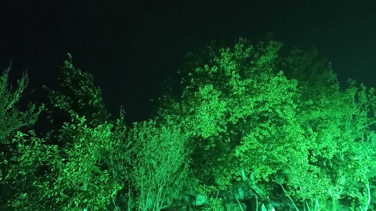 Photo of Outdoor in Gullubahce