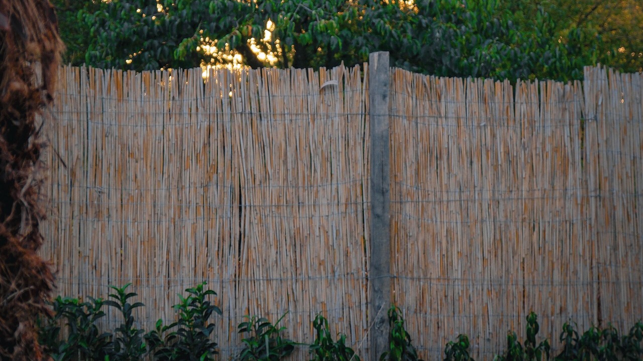 Photo of Outdoor in Yanik