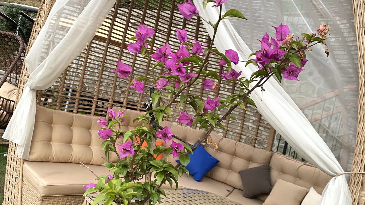 Photo of Outdoor in Ayder
