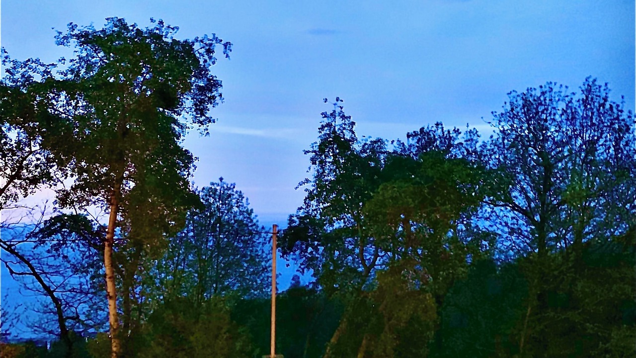 Photo of Others in Besikduzu