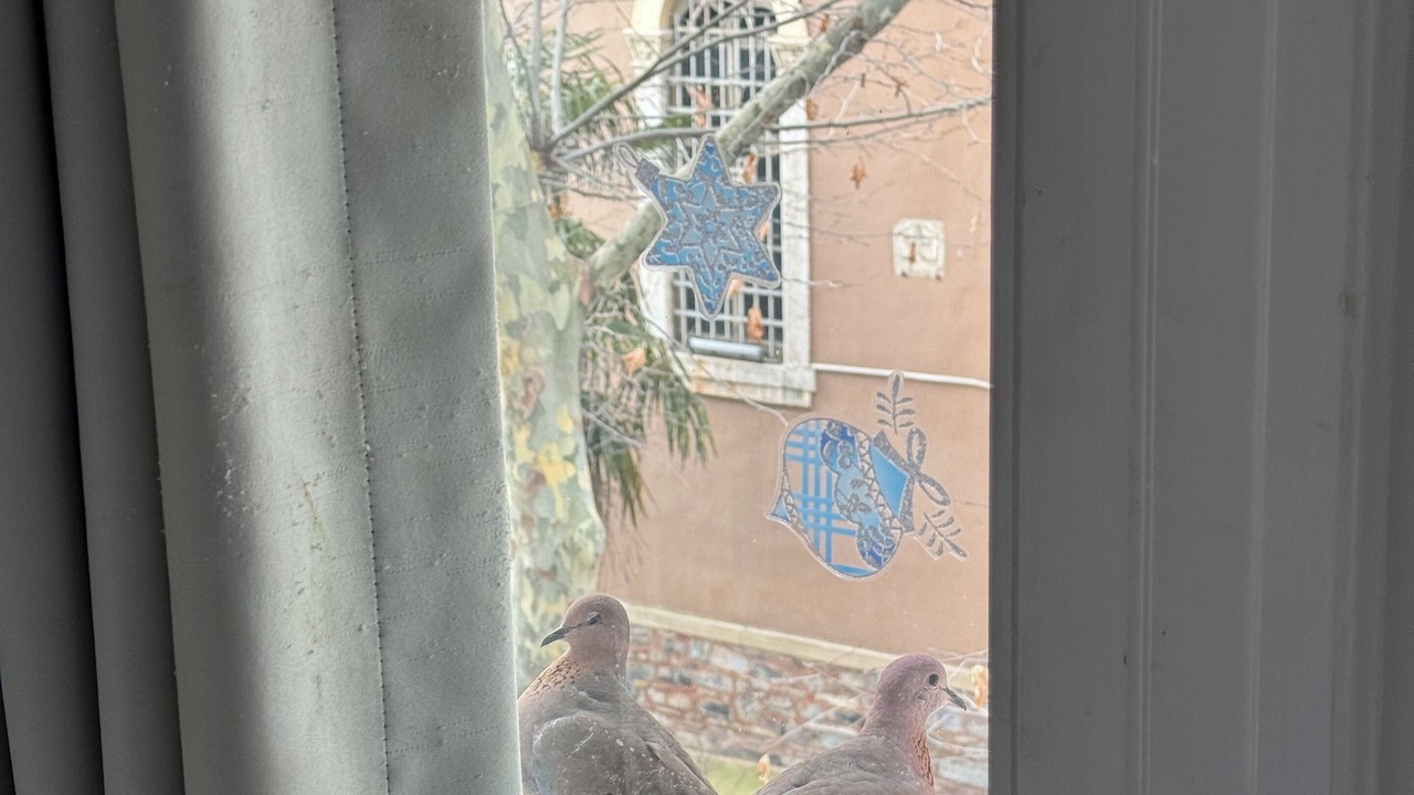 Photo of Others in Arnavutkoy