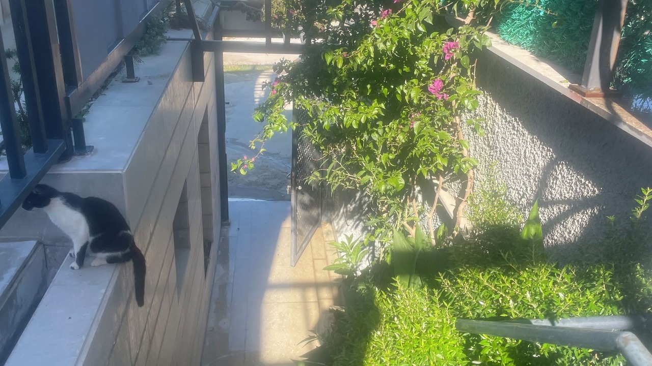 Photo of Outdoor in Bodrum City Center
