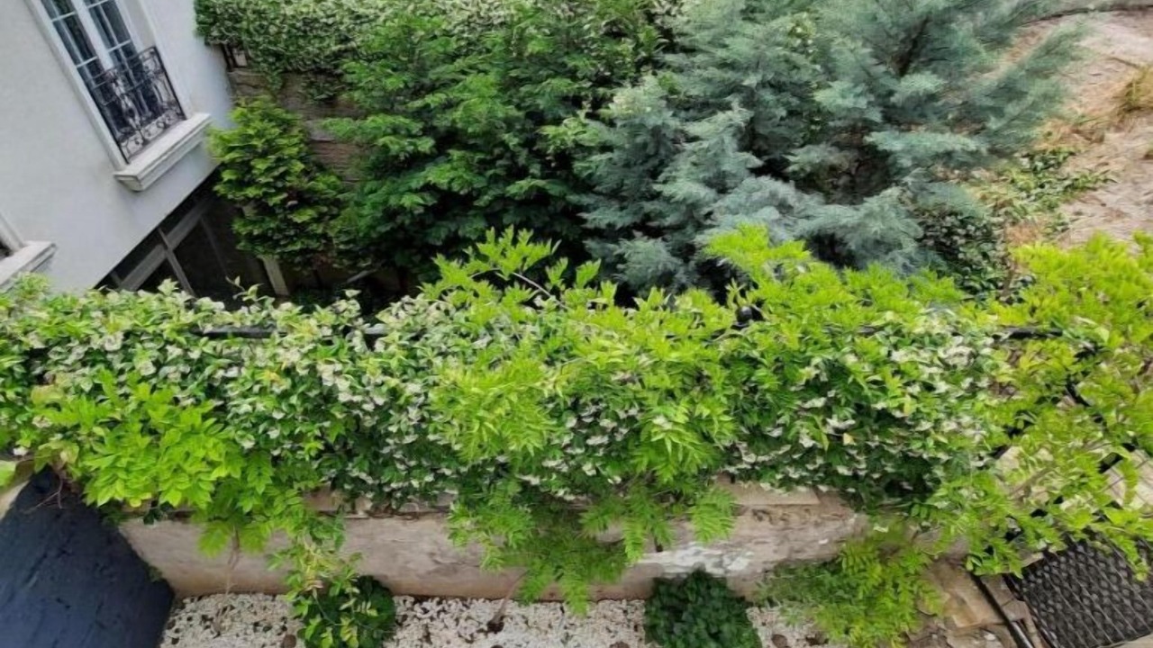Photo of Outdoor in Sultanahmet
