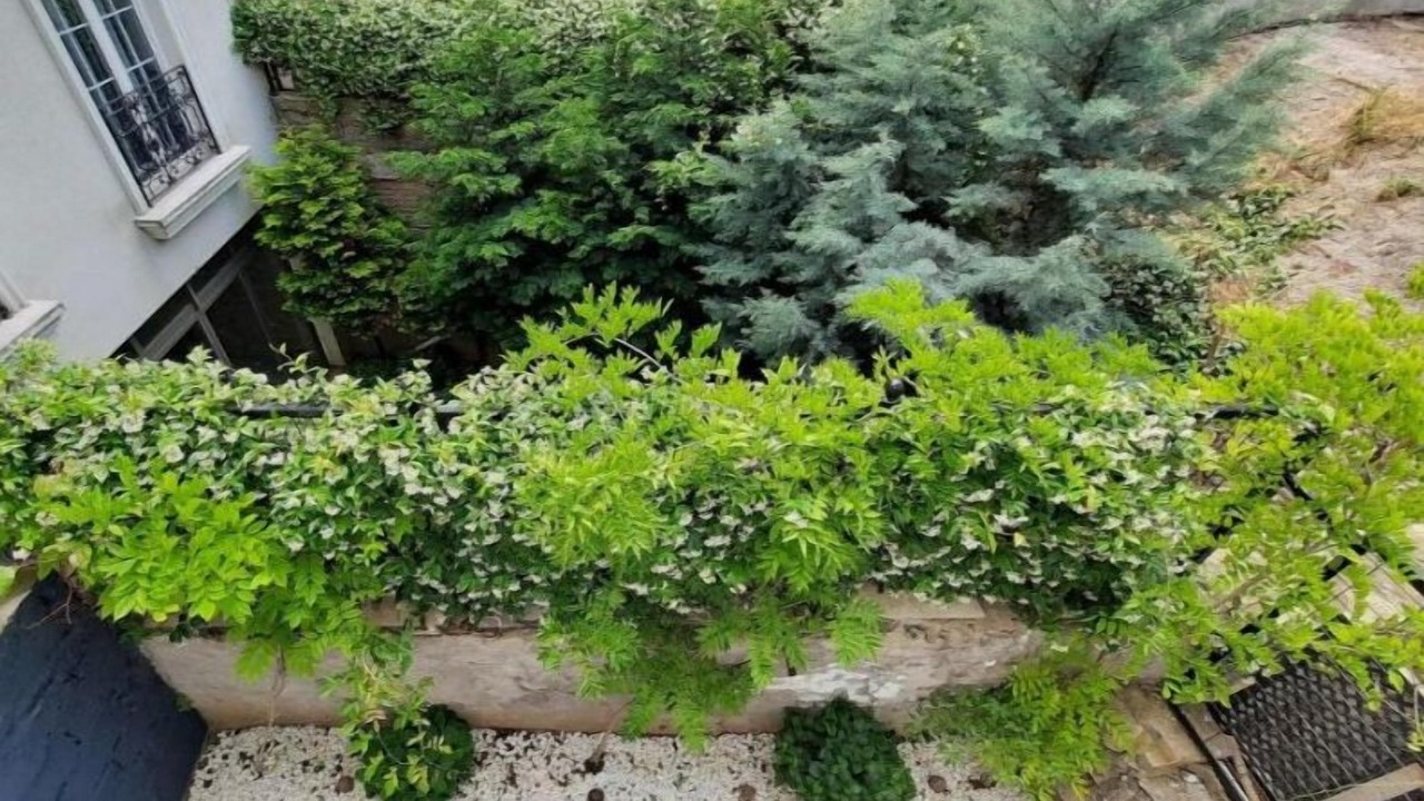 Photo of Outdoor in Sultanahmet
