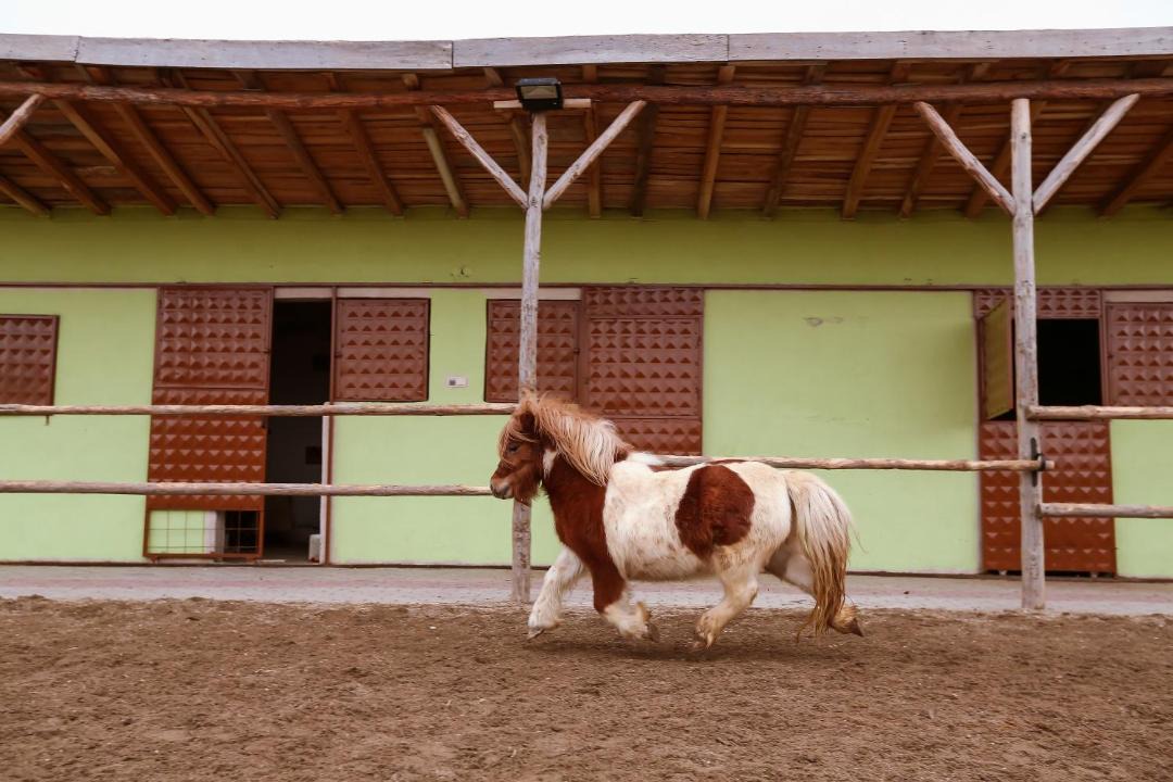 Photo of Others in Afyonkarahisar