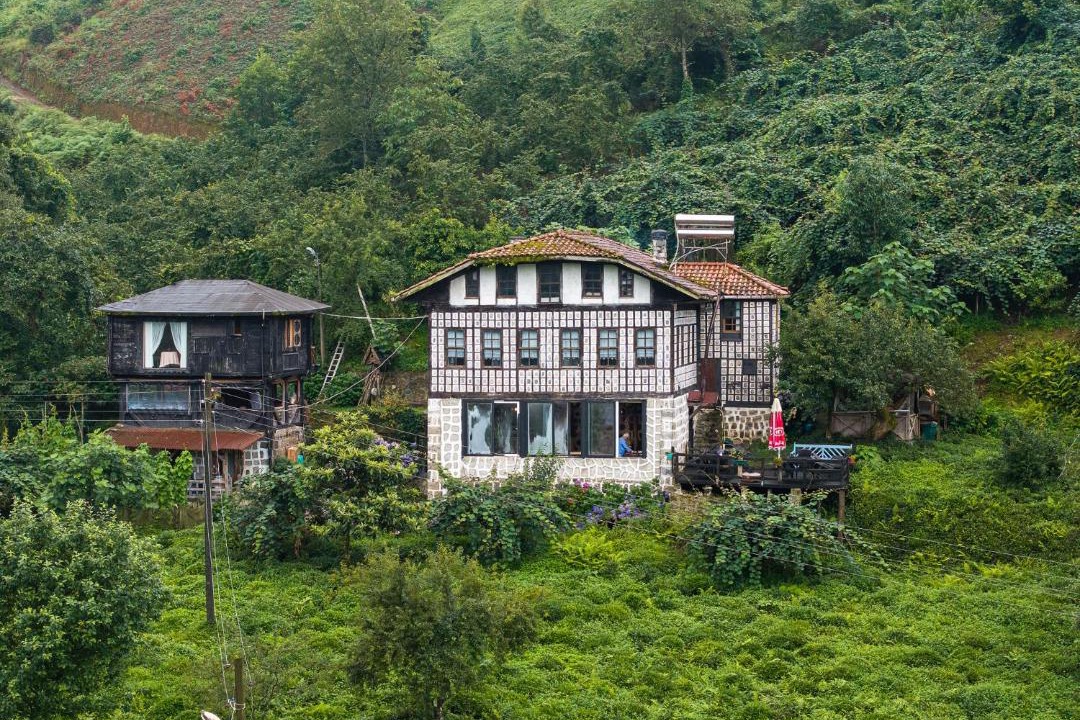 Photo of Others in Findikli