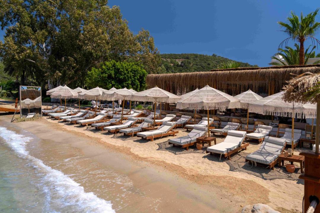 Photo of Others in Torba