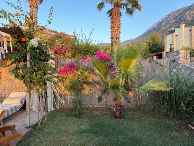Photo of Others in Oludeniz