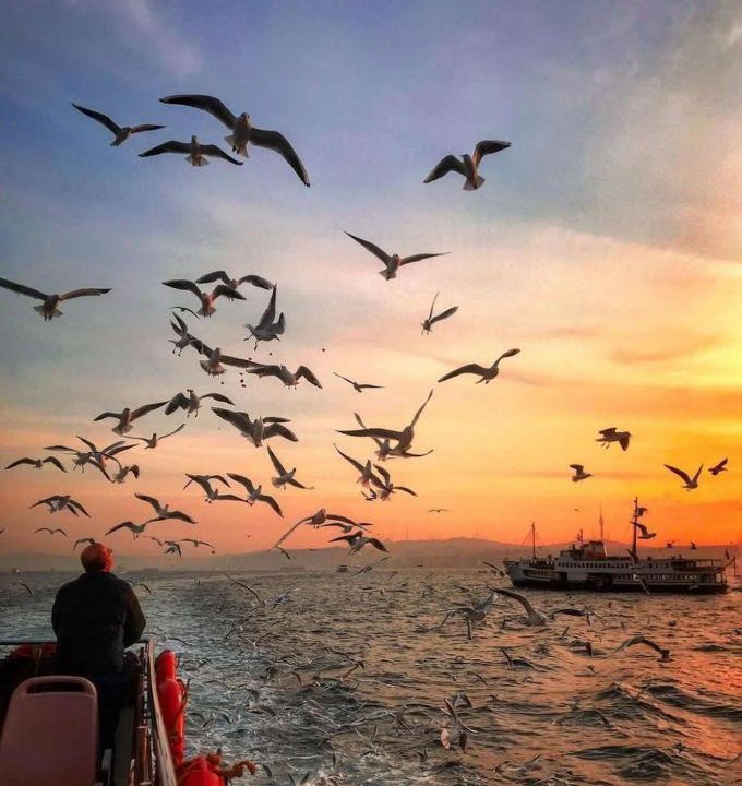 Photo of Others in Sultanahmet
