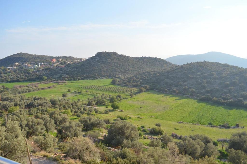 Photo of Livingroom in Kas