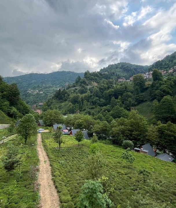 Photo of Others in Ayder