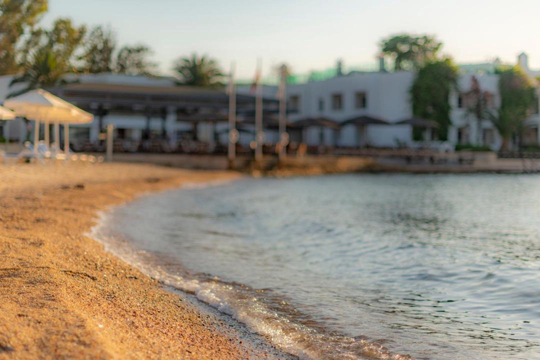 Photo of Others in Torba
