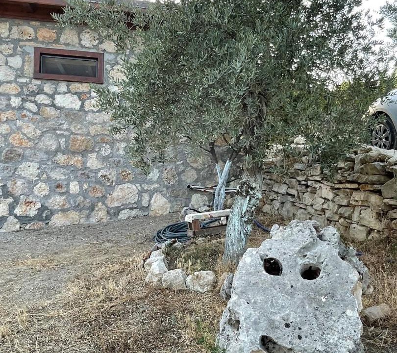 Photo of Others in Milas